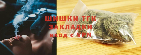 прущие грибы Верхнеуральск