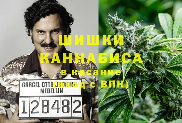 дживик Верея