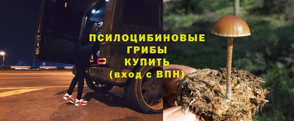 амф Володарск