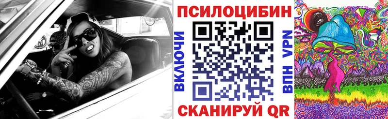 Галлюциногенные грибы Magic Shrooms  купить наркотики сайты  Северобайкальск 